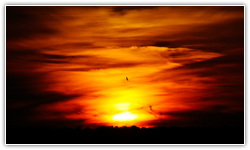 Gallery Selection #2